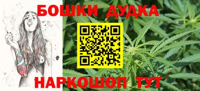 гидропоника Камышлов